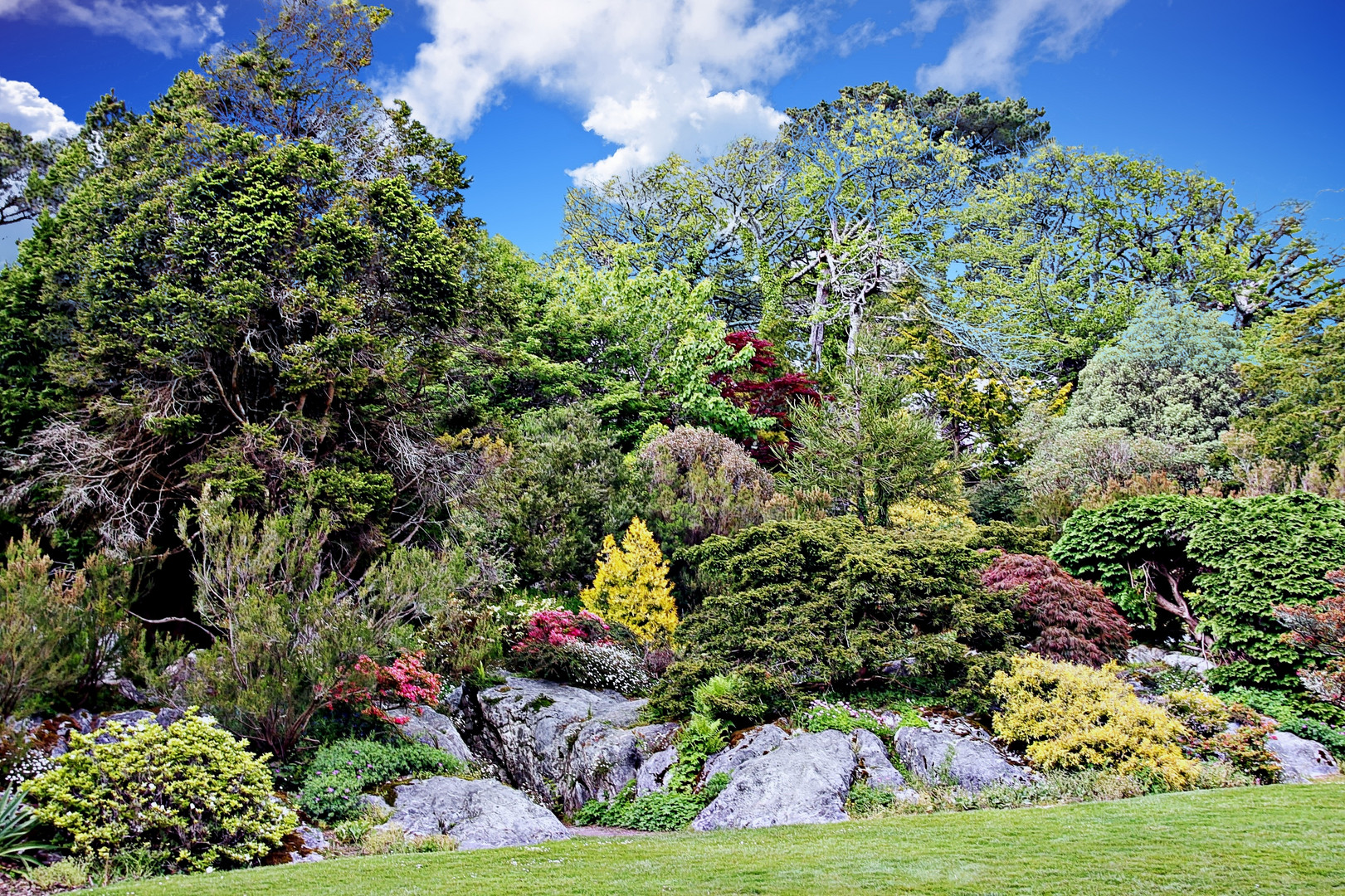 Parterre d'un jardin irlandais