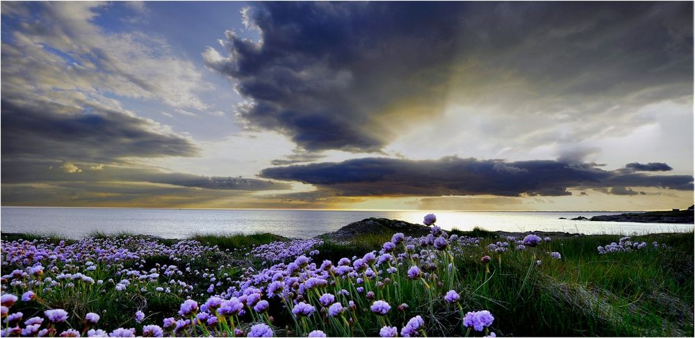 Parterre et mer