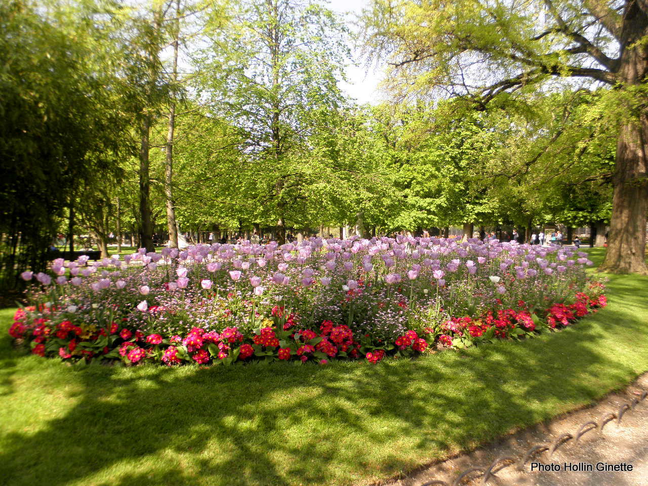 PARTERRES AU JARDIN DU LUXEMBOURG PARIS