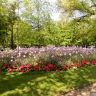 PARTERRES AU JARDIN DU LUXEMBOURG PARIS