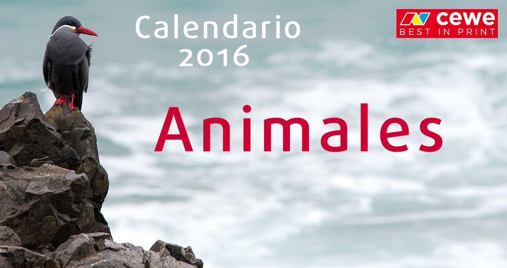 ¡Participa! - Calendario fotocommunity 2016