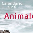 ¡Participa! - Calendario fotocommunity 2016