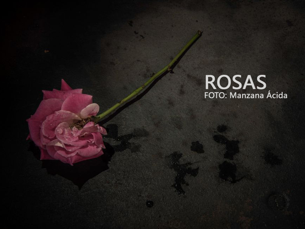 Participa en el concurso fotográfico "Rosas"