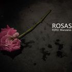 Participa en el concurso fotográfico "Rosas"