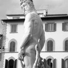 Particolare della Fontana del Nettuno..o meglio detto il Biancone - Piazza della Signoria Firenze