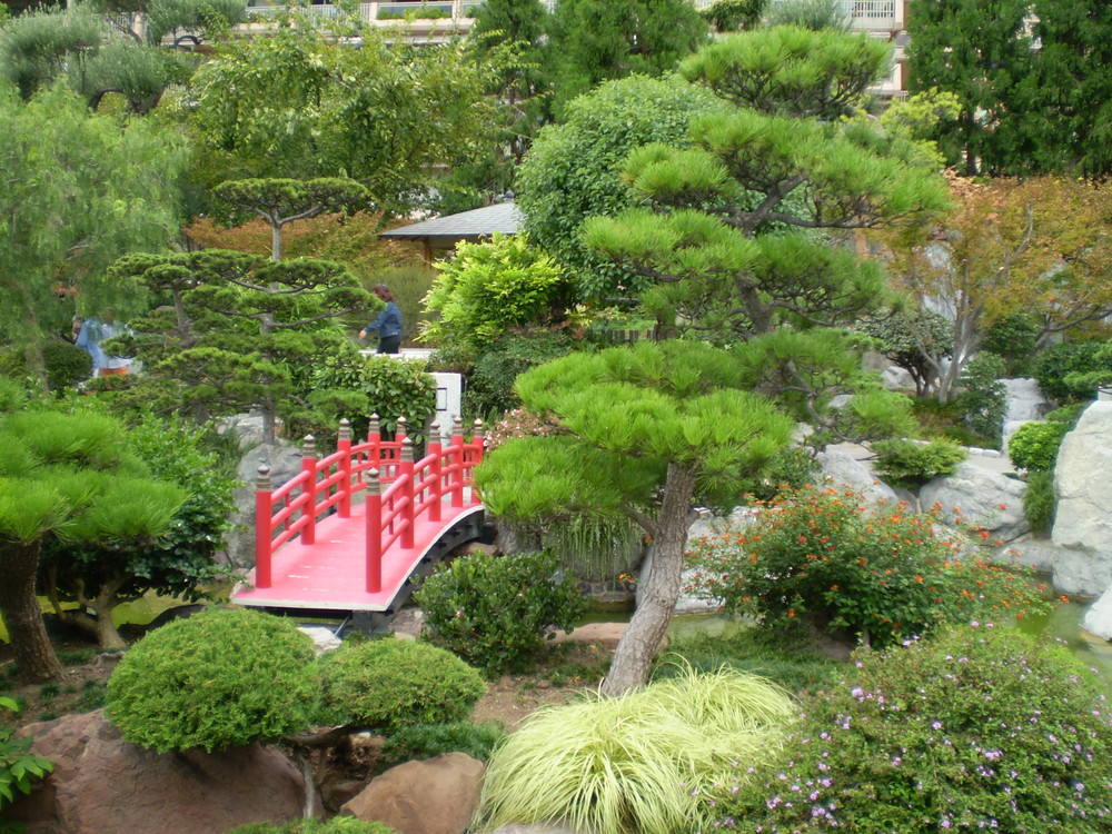 Particolare di un giardino giapponese