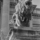 Particolare leoni Teatro Massimo 