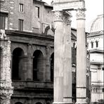 Particolare Teatro Marcello