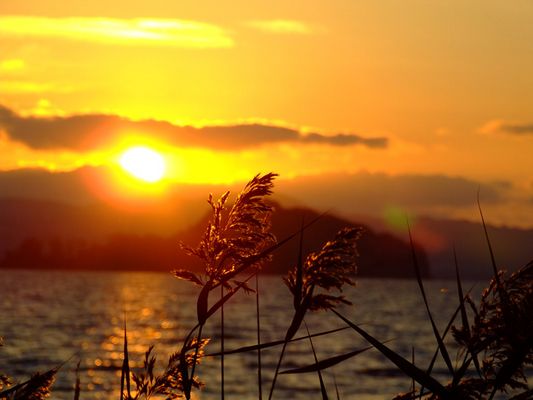 Particolari al tramonto