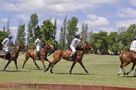 Partido de Polo de agb 