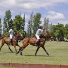 Partido de Polo