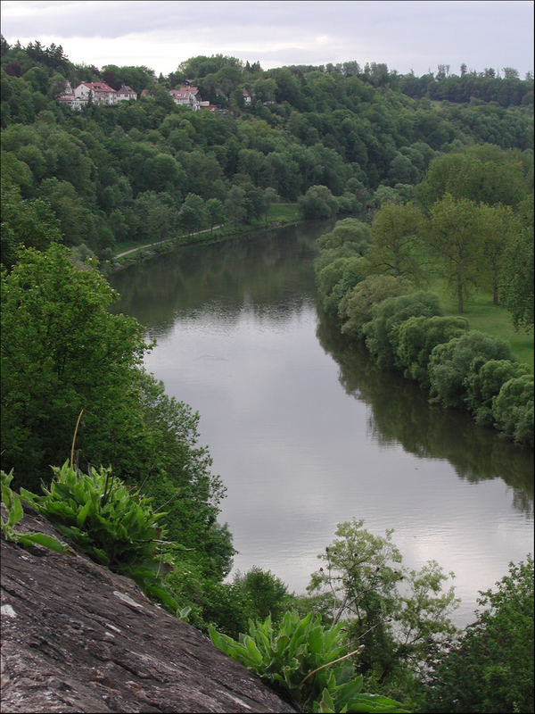 Partie am Neckar in Bad Wimpfen