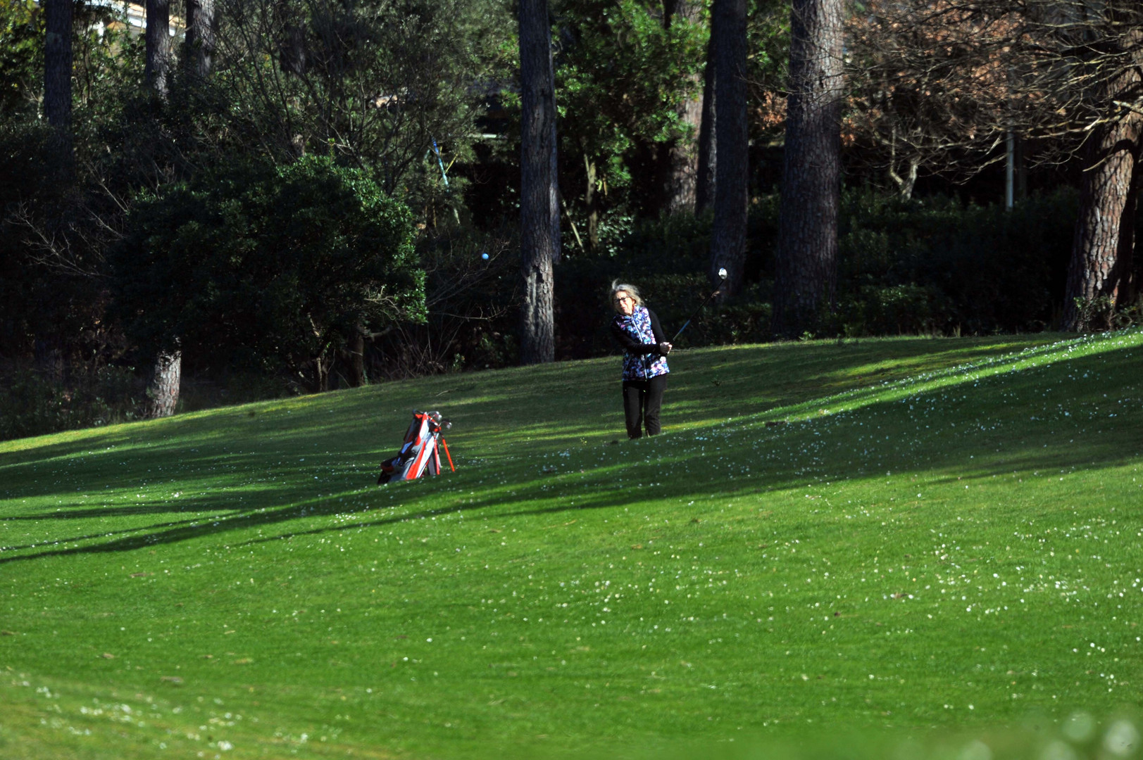 partie de golf (lacanau , le huga) 