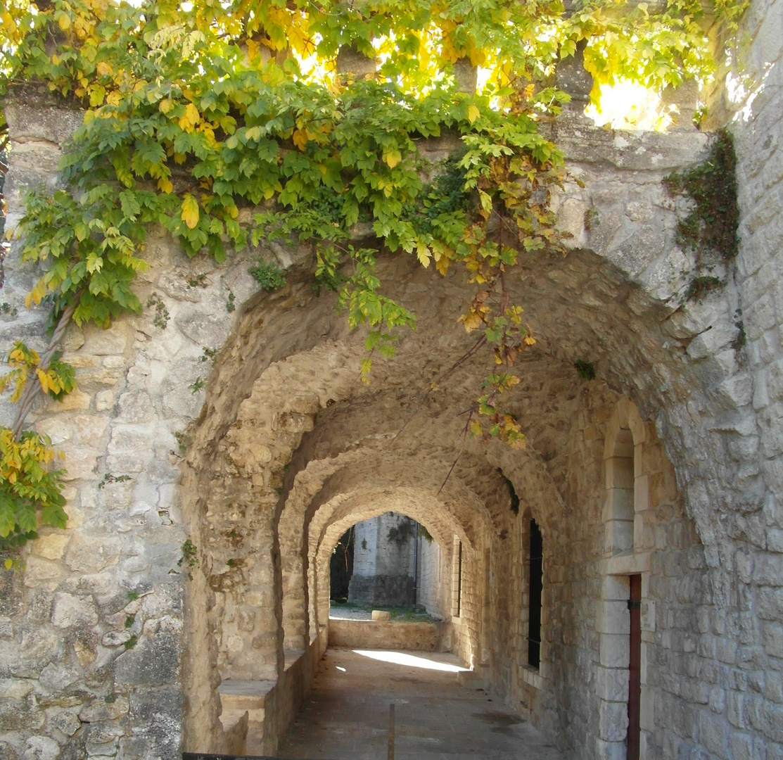 partie du cloître des cordeliers à Forcalquier 04