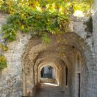 partie du cloître des cordeliers à Forcalquier 04