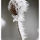 Partielle Eiszeit