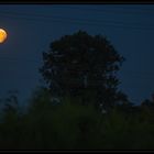 Partielle Mondfinsternis über Erlangen