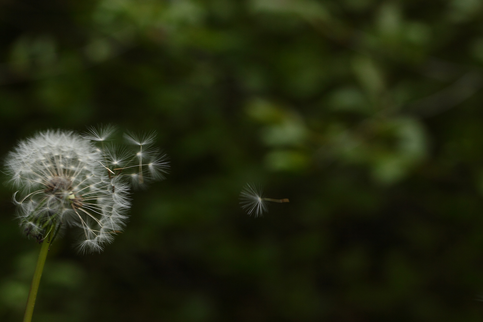 partir avec le vent