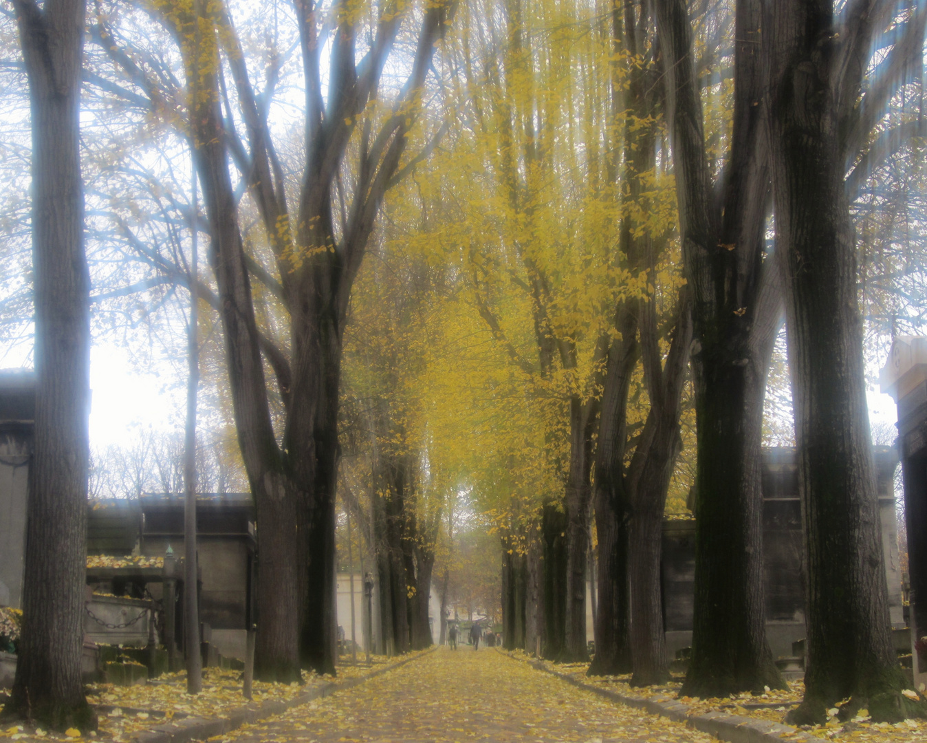 Partir un jour .... sans retour mais partir Père Lachaise Paris xx arr