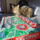 Partita a Monopoli?....... no