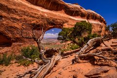 Partition Arch, Arches NP, Utah, USA