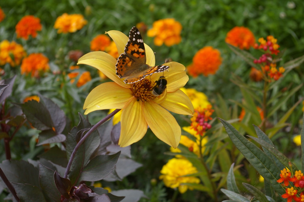 Natur partnersuche
