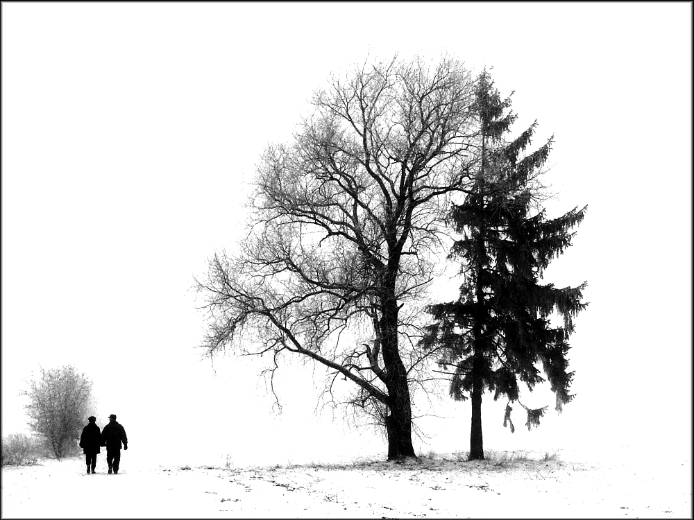 Partnerschaft - Zusammenhalt