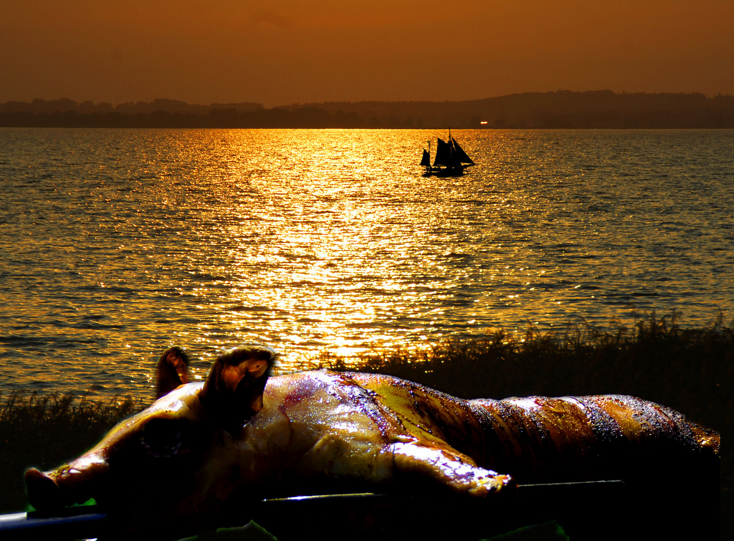 Party am Meer: "Armes Schwein!"