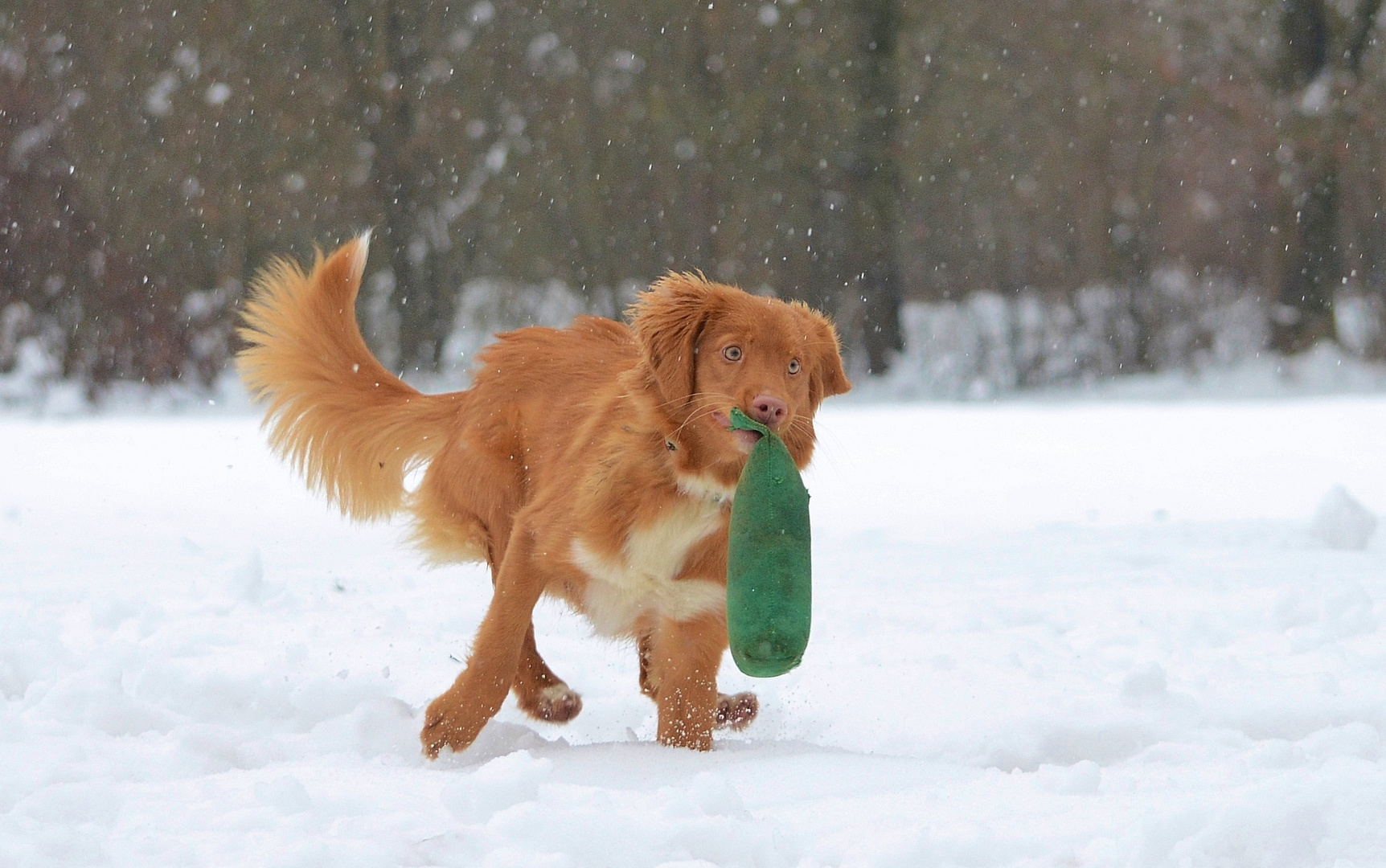 Party im Schnee