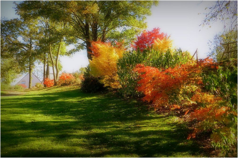 parure d'automne 2