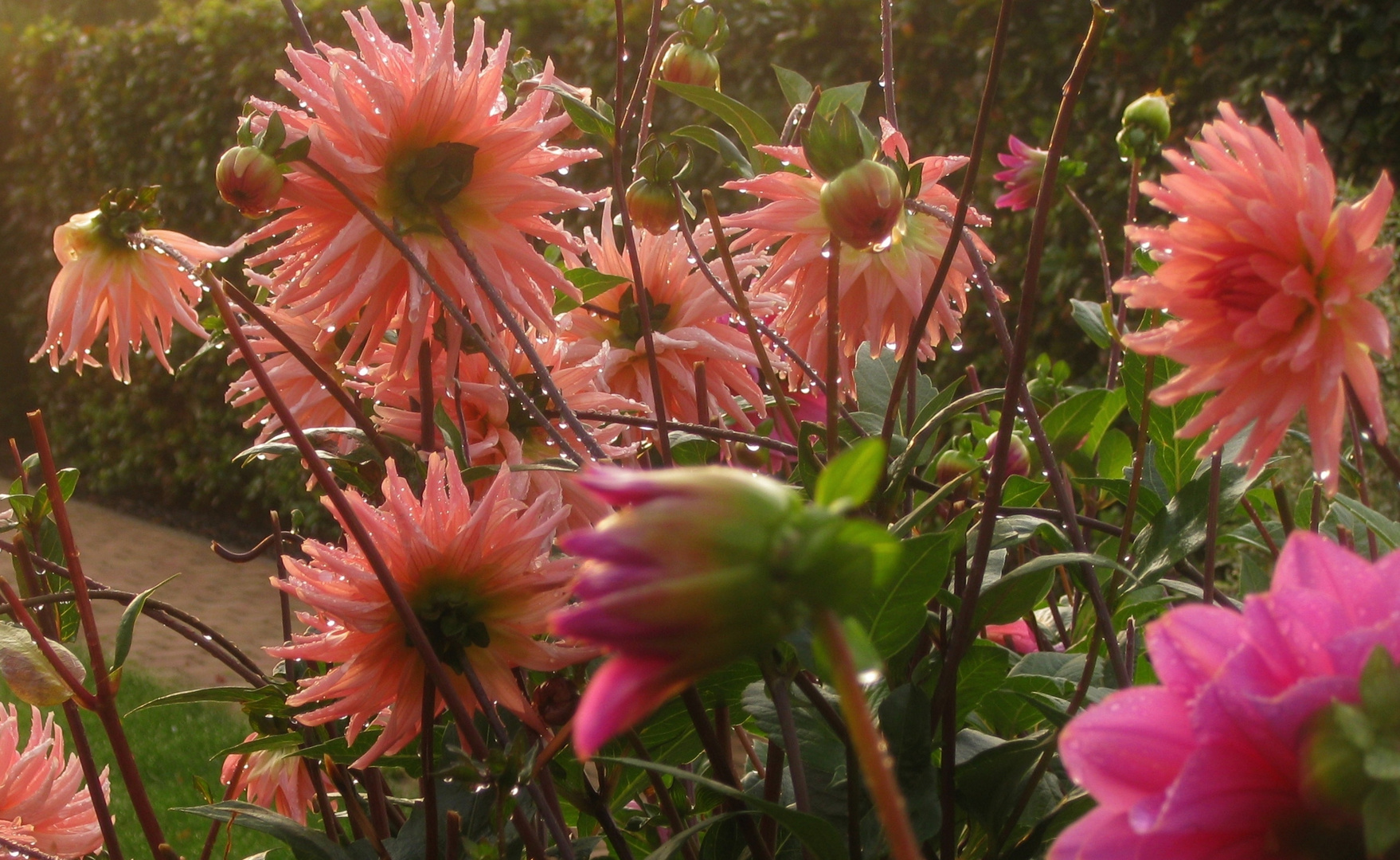 parure d'automne