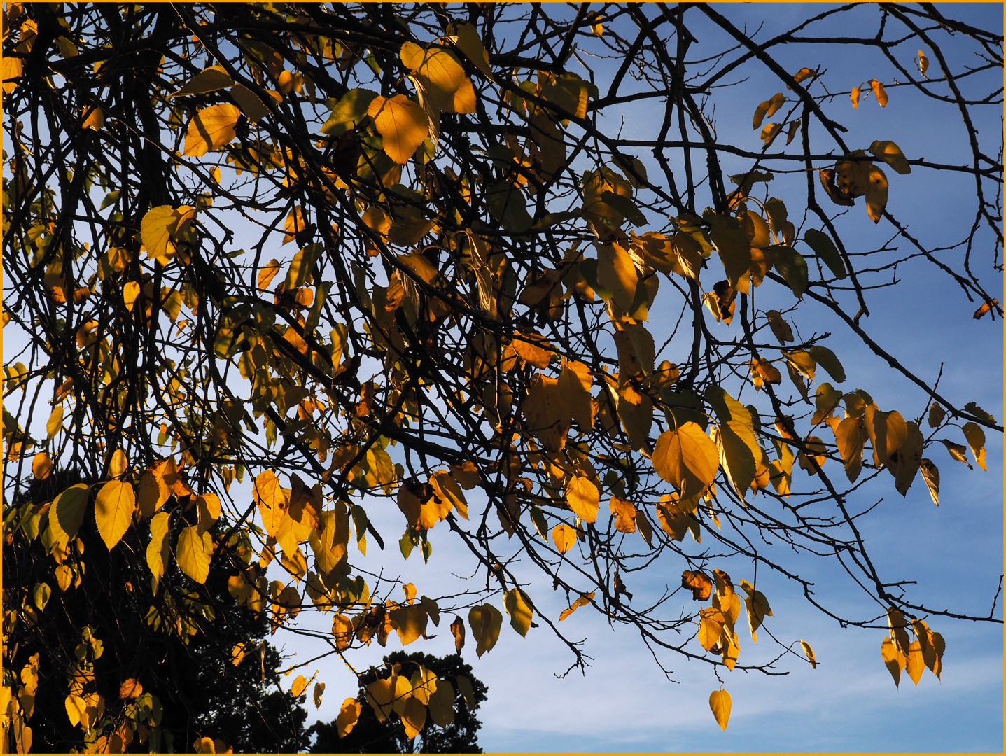 Parure d’automne