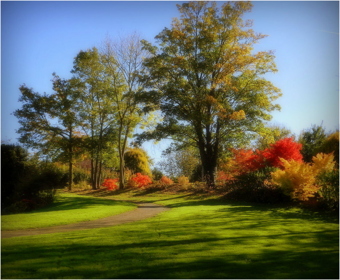 parure d'automne