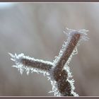 parure de givre