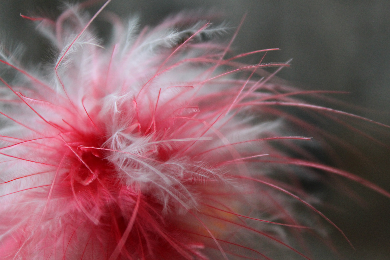 parure de plumes