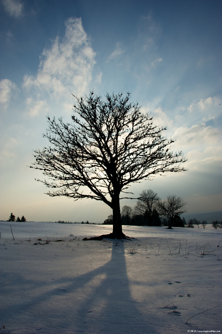 Parure d'hiver