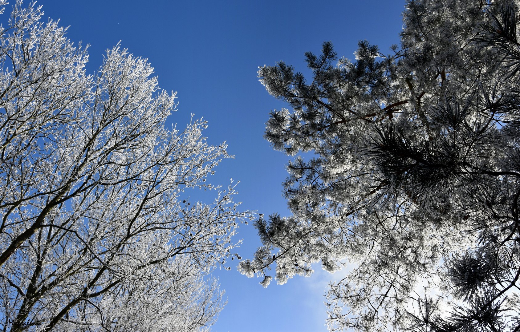 Parure hivernale