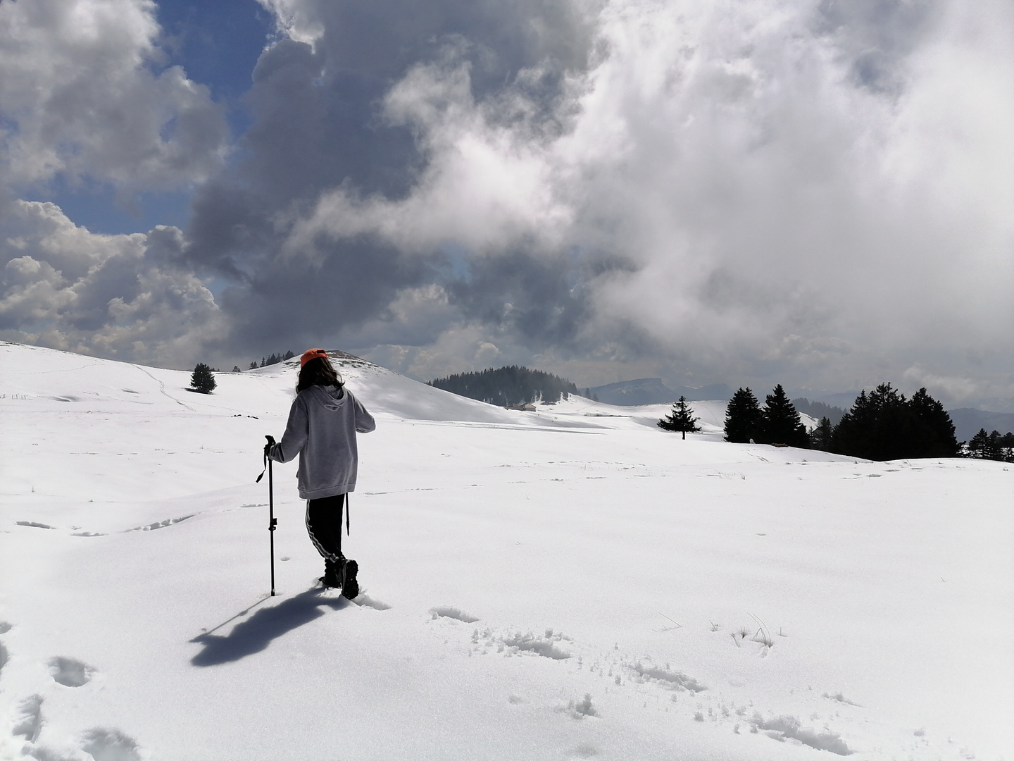 Pas à pas dans la neige