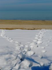 Pas dans la neige et plage en hiver