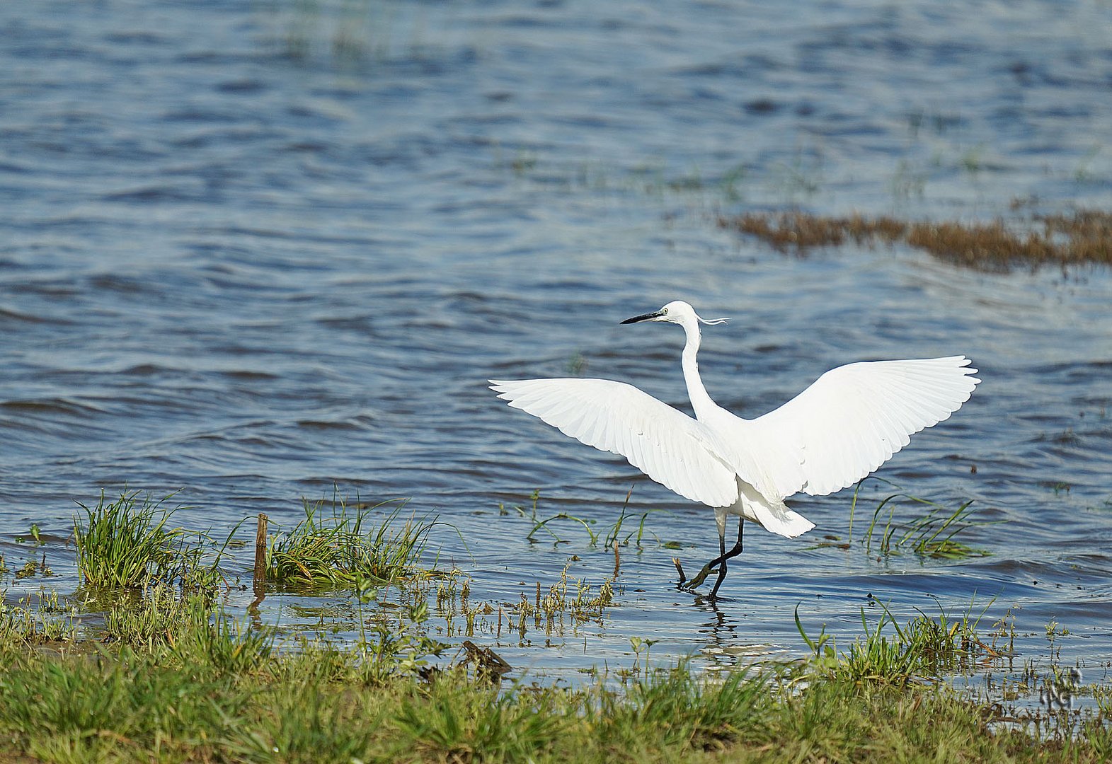 Pas de danse ....