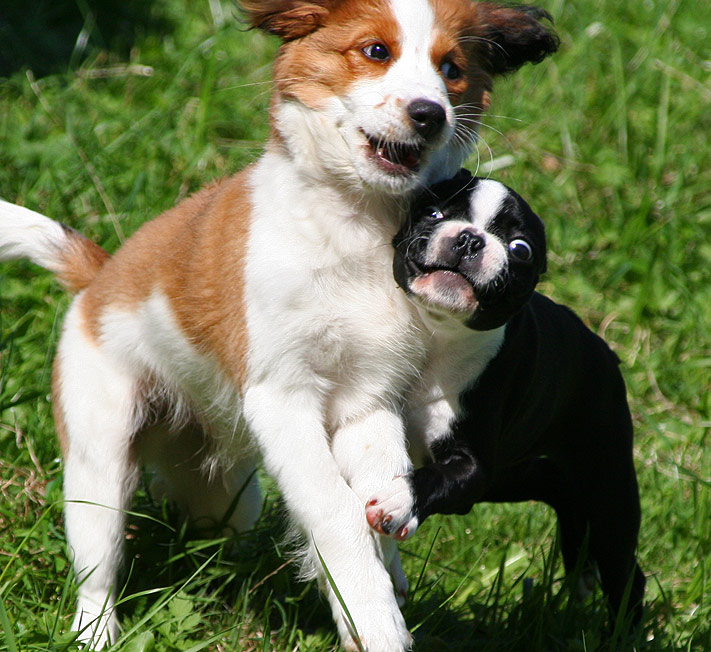 Pas de deux?