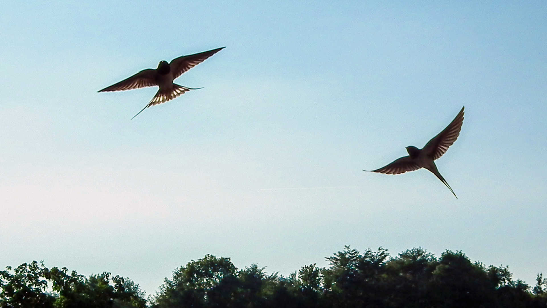 Pas de deux ...