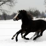 Pas de deux