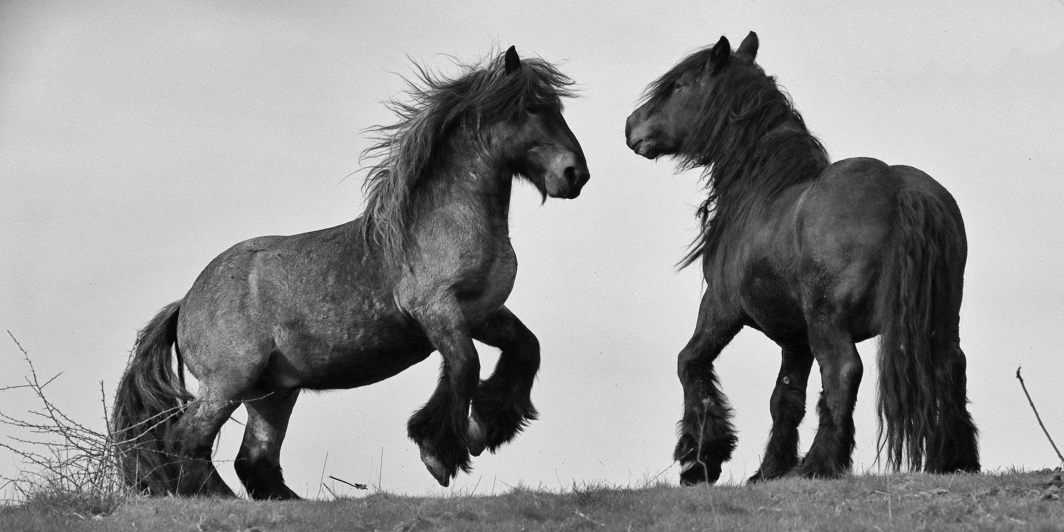 Pas de deux...