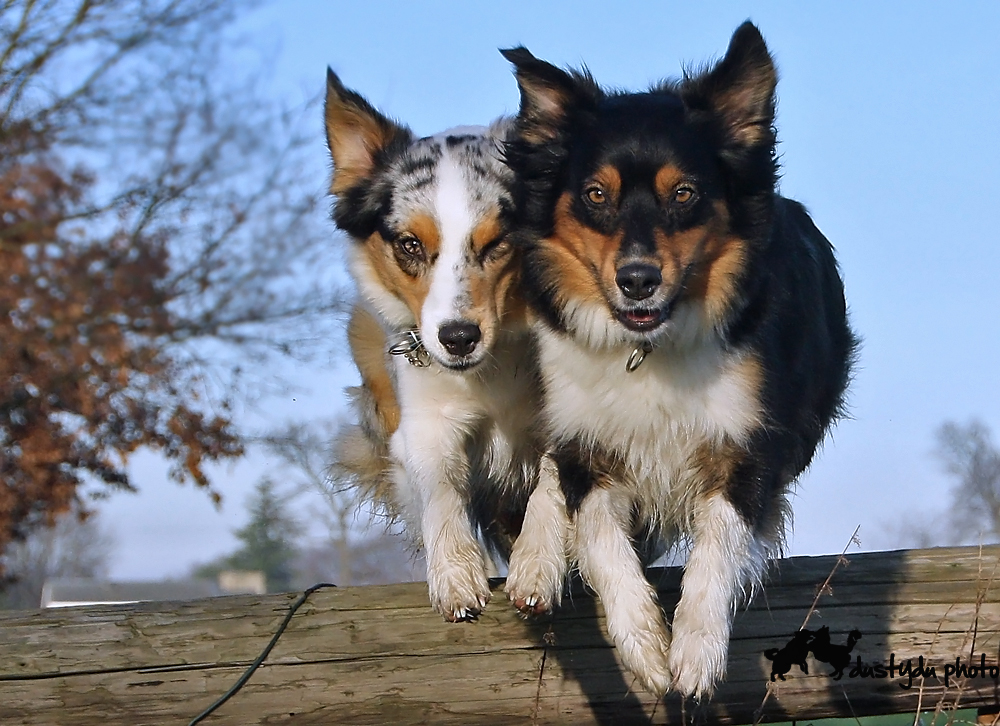 pas de deux