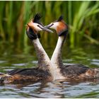 Pas de deux...