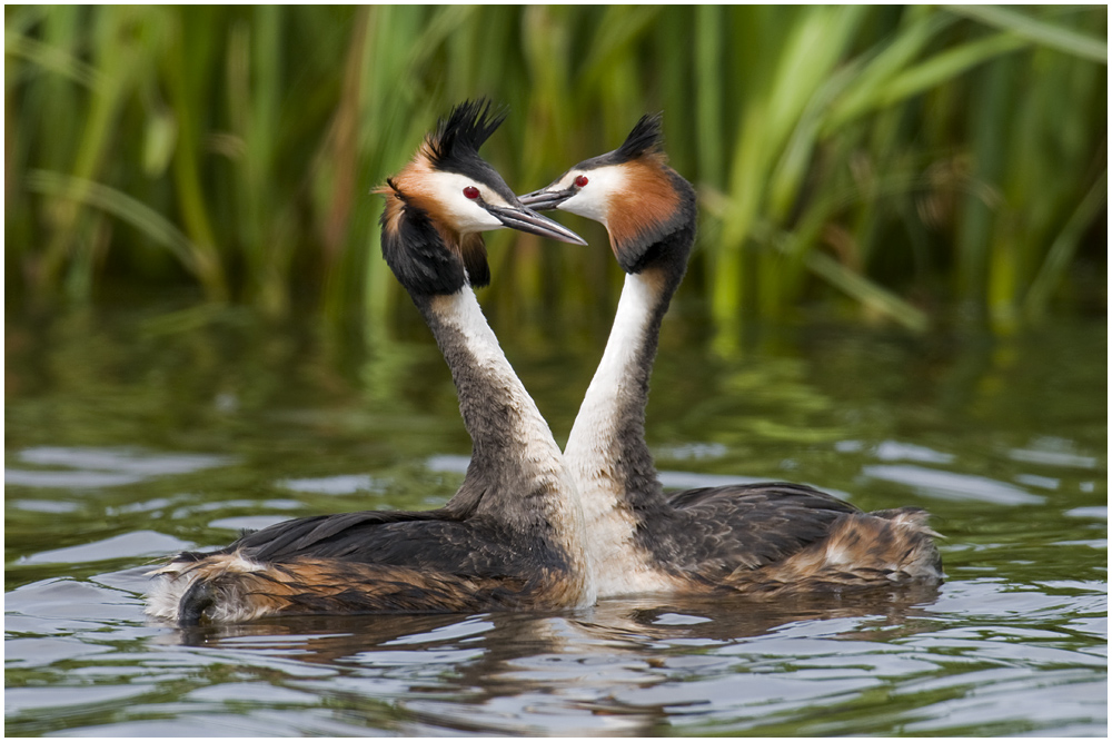 Pas de deux...