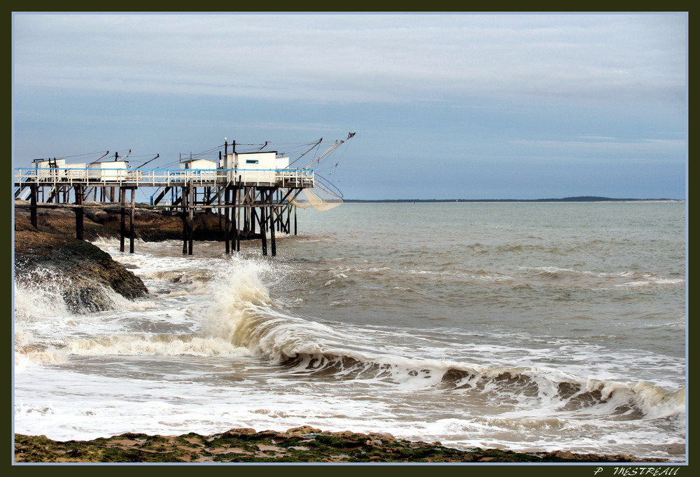 pas de pêche aujourd'hui !!