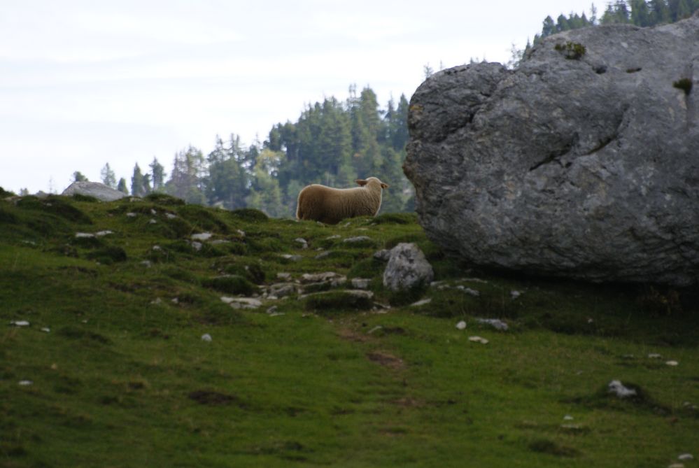 pas de photo aujourd'hui !!