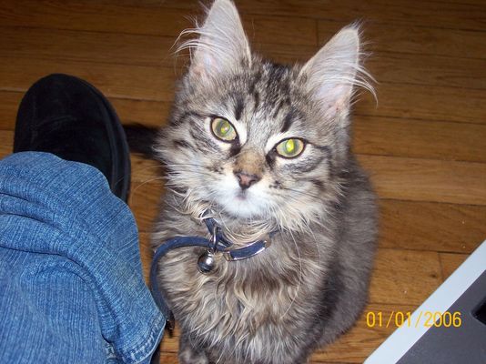 pas de place pour l'amour ?